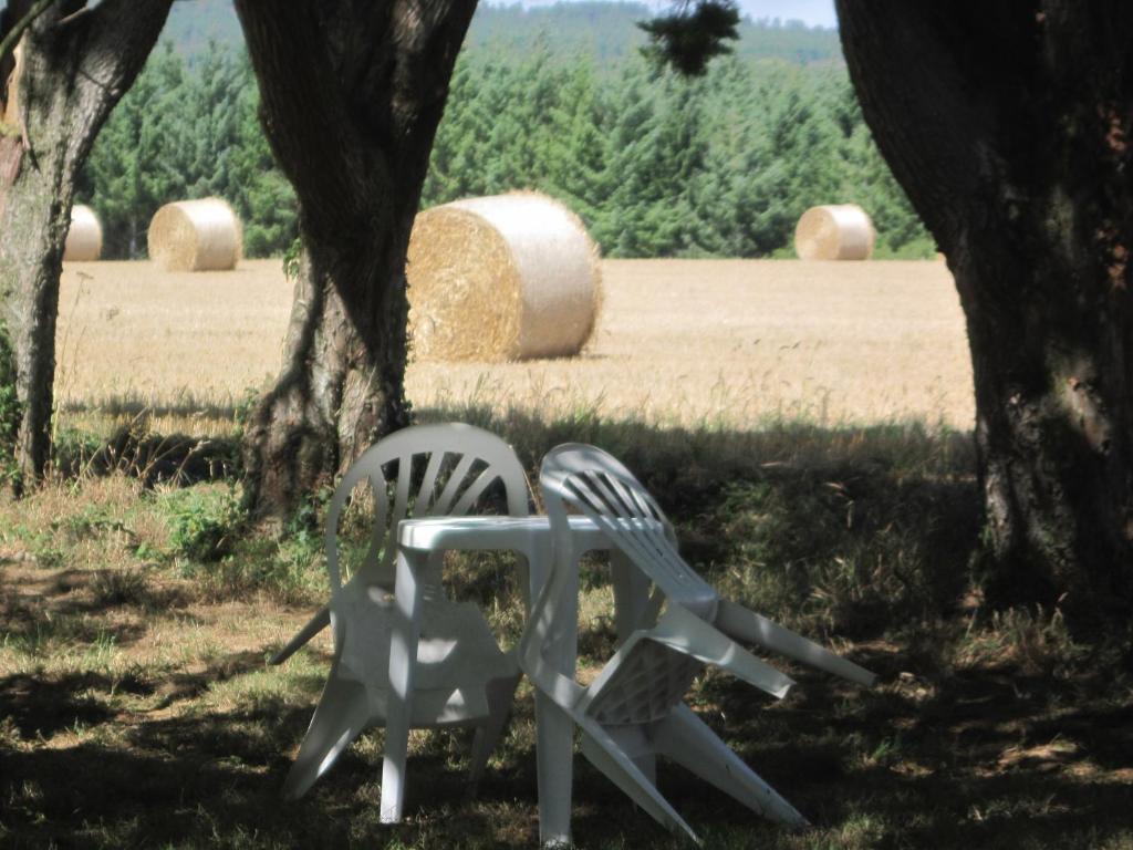 Le Relais De Porz Morvan Plomodiern Εξωτερικό φωτογραφία